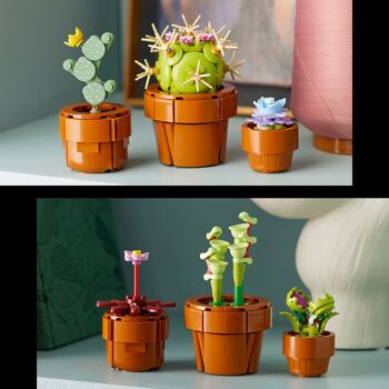 LEGO 10329 - Les Plantes Miniatures Icons 3