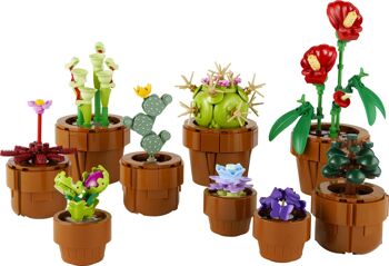 LEGO 10329 - Les Plantes Miniatures Icons 4