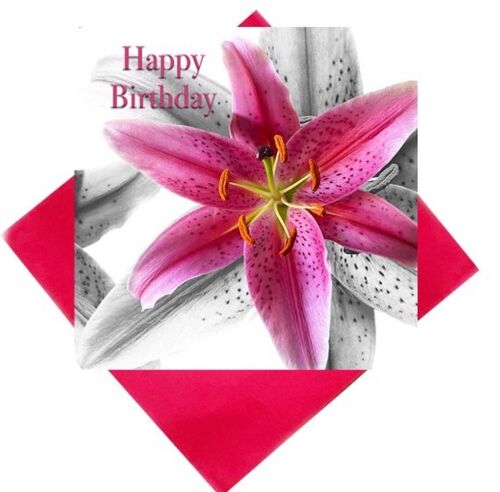 Lily Happy birthday card - star gazer lily Happy Birthday card