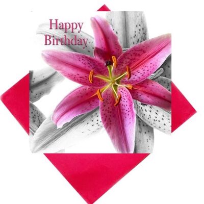 Alles Gute zum Geburtstagskarte für Lily - Sterngucker-Lilie Alles Gute zum Geburtstagskarte