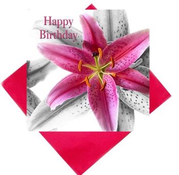 Carte de joyeux anniversaire Lily - carte de joyeux anniversaire Lily observateur d'étoiles 1