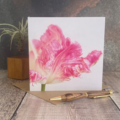 Tarjeta de felicitación - tarjeta de felicitación de flor de tulipán loro - tarjeta de flores en blanco