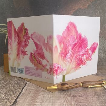 Carte de vœux - carte de vœux fleur de tulipe perroquet - carte fleur vierge 2