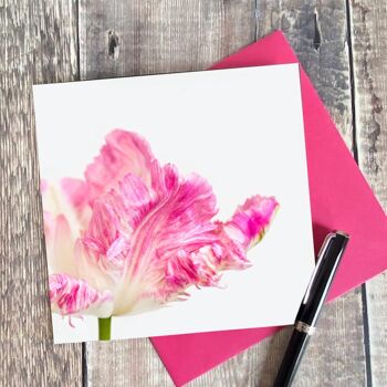 Carte de vœux - carte de vœux fleur de tulipe perroquet - carte fleur vierge 3