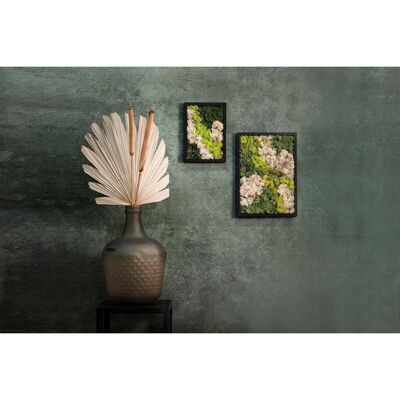 Moss Art in Wooden Frame - Rectangle