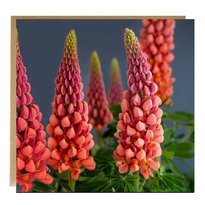 Lupinen-Grußkarte - Blumenkarte - florale Geburtstagskarte
