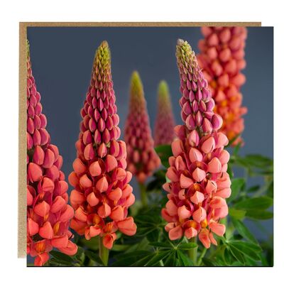 Carte de vœux Lupins - carte fleurie - carte d’anniversaire florale