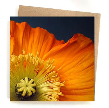 carte de vœux coquelicot - carte de vœux vierge - carte d’anniversaire florale 1