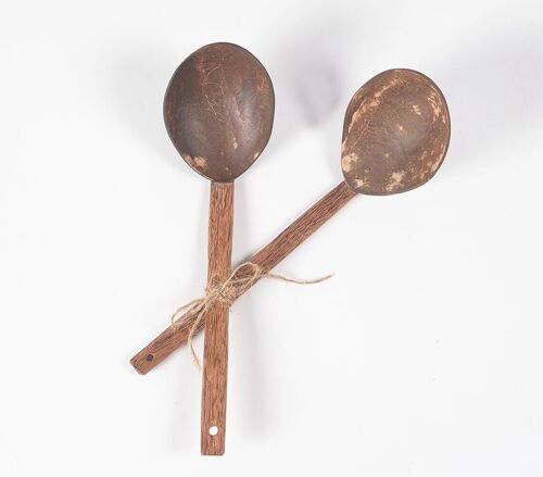 Eco-friendly Coconut Shell Curry Ladles (set of 2)