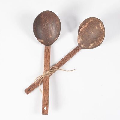 Eco-friendly Coconut Shell Curry Ladles (set of 2)