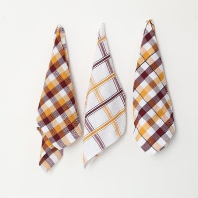 Checkered Kitchen Towels (set of 3)