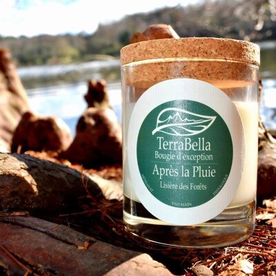 VEGETABLE SCENTED CANDLE - AFTER THE RAIN - FOREST EDGE