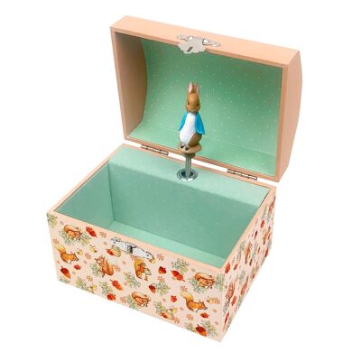 Peter Rabbit© Hazelnut Musical Money Box - New