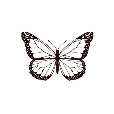 Tatuaje temporal Sioou - Mariposa nocturna x5