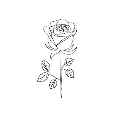 Tatouage temporaire Sioou - Rose noire x5