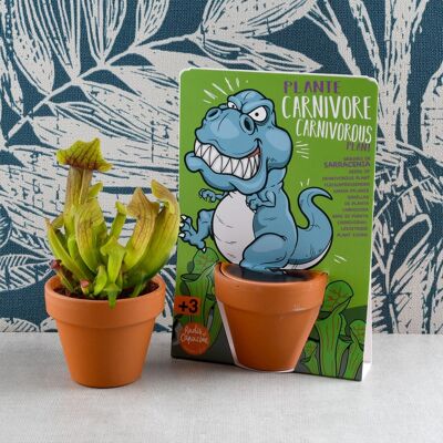 Tarjeta de naturaleza - T-Rex - Planta carnívora