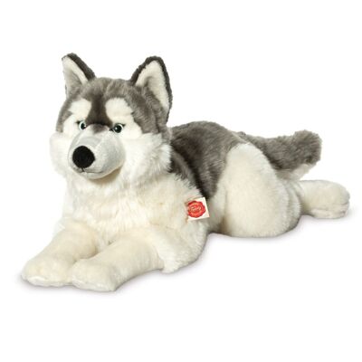 Husky lying 60 cm - plush toy - stuffed animal