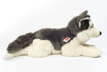 Husky couché 60 cm - peluche - peluche 3