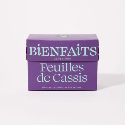 Infusion de cassis ⸱ favorise l'élimination des toxines