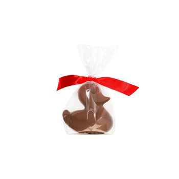 Canard au chocolat de Pâques 2