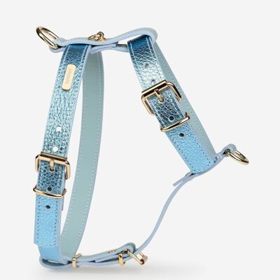 Sky Blue Metal Harness