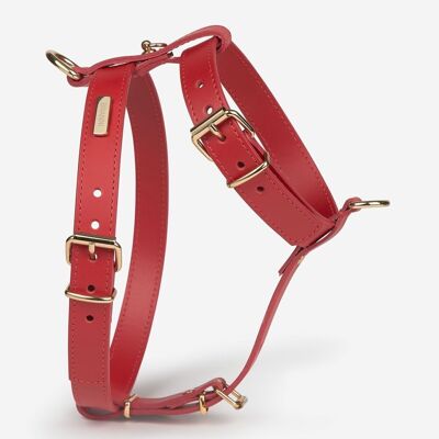 Red Nara harness