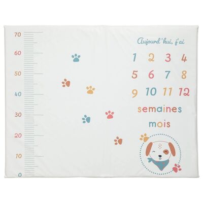 PVC play mat 72x92 cm with baby steps Toutou