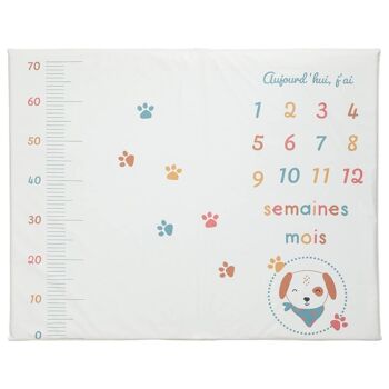 Tapis de jeu PVC 72x92 cm avec étapes bébé Toutou 1