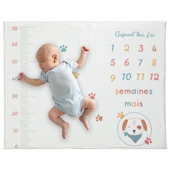 Tapis de jeu PVC 72x92 cm avec étapes bébé Toutou 2