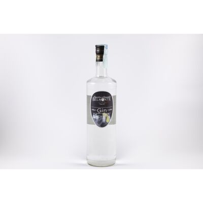 Gin from juniper berry distillate with 38 degrees alcohol content with an unmistakable taste