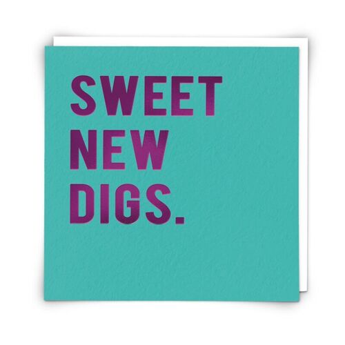 Digs Greetings Card