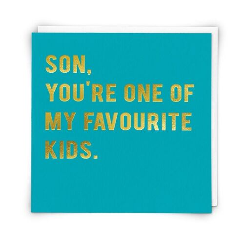 Son Favourite Greetings Card