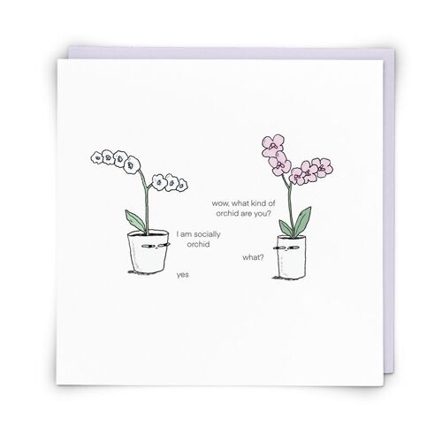 Orchid Greetings Card