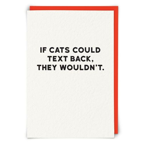 Cats Greetings Card