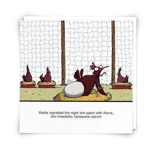 Ostrich Greetings Card