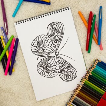 Livre de Coloriages pour adultes, Mandalas Papillons 2