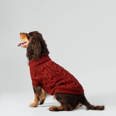 Hackett x Hugo & Hudson Pull pour chien en tricot torsadé - Brique