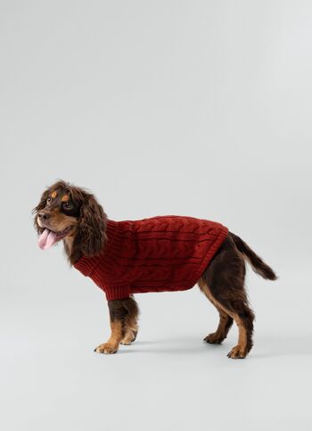 Hackett x Hugo & Hudson Pull pour chien en tricot torsadé - Brique 5