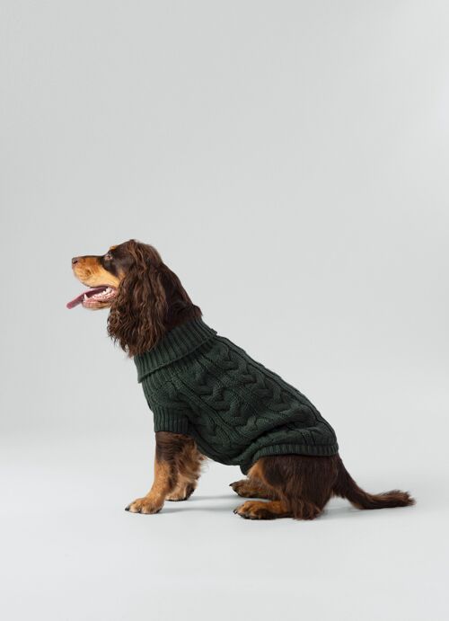 Hackett x Hugo & Hudson Cable Knit Pullover Dog Jumper - Green