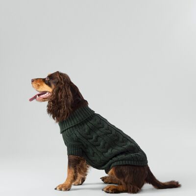 Hackett x Hugo & Hudson Pull pour chien en tricot torsadé - Vert