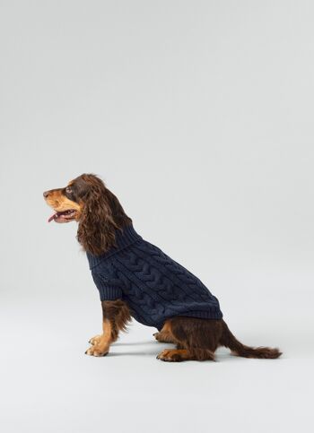 Hackett x Hugo & Hudson Pull pour chien en tricot torsadé - Marine 1