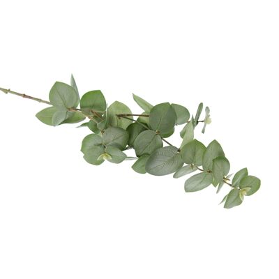 Plastic eucalyptus branch, length: 73 cm, green, 810596