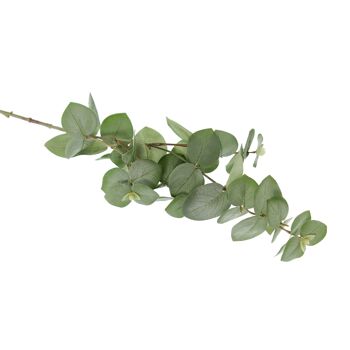 Branche d'eucalyptus en plastique, longueur : 73 cm, vert, 810596 1