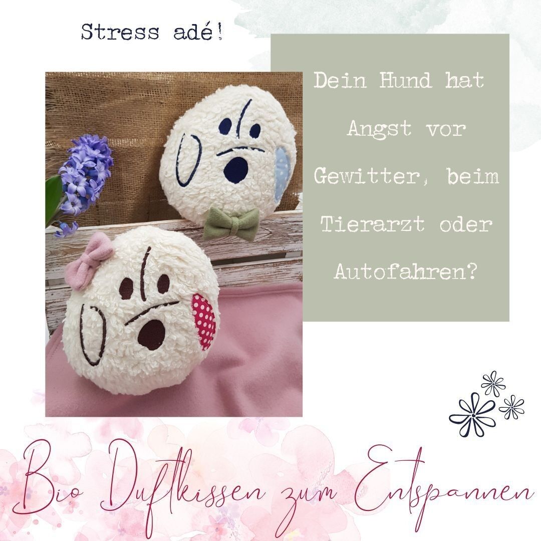 Cuscino benessere per cani biologico, lavabile + bustina profumata