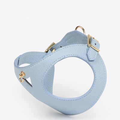 Sky blue Juno harness