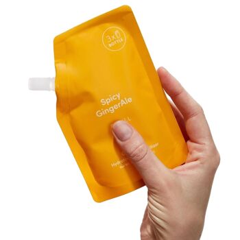 Recharge de désinfectant pour les mains Spicy Gingerale 2