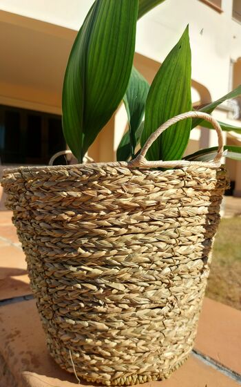 PANIER À HERBE 3