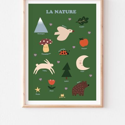 Cartel educativo - decoración infantil - Naturaleza