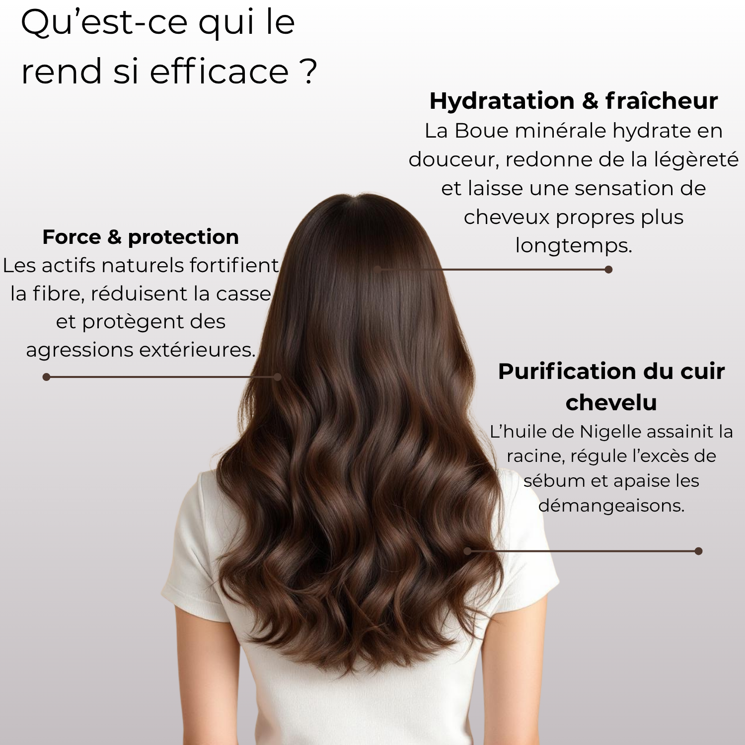 Coffret Detox NOÏA Hair – Routine Purifiante & Rééquilibrante – Shampoing, Masque, Sérum & Peigne de Voyage