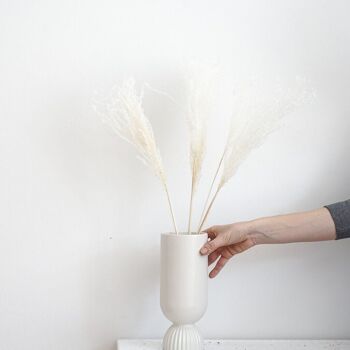 Roseau : Boho chic - une touche de naturel pour votre vase 3